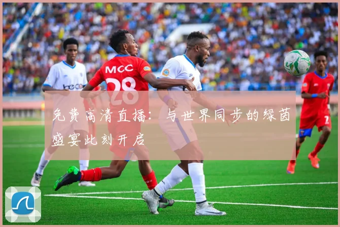 免费高清直播:与世界同步的绿茵盛宴此刻开启